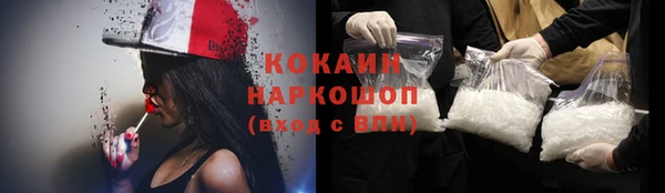 прущие грибы Билибино
