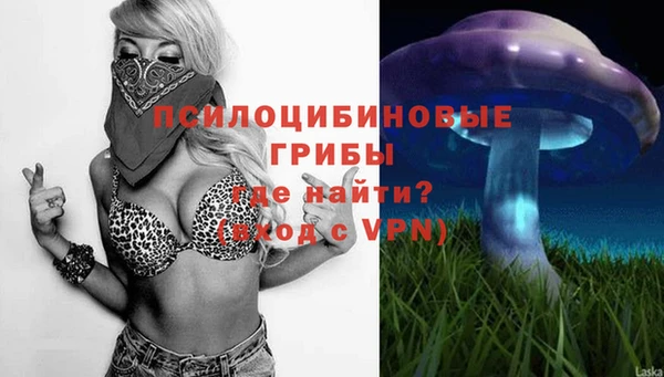 jwh Вяземский