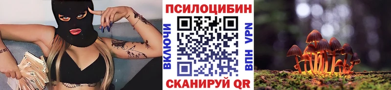 Галлюциногенные грибы Cubensis  Калач-на-Дону 