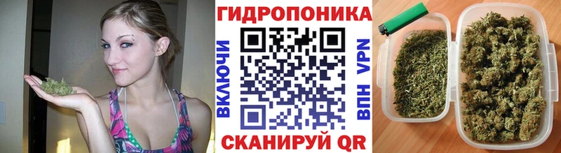 Канабис SATIVA & INDICA  цены наркотик  blacksprut tor  Калач-на-Дону 